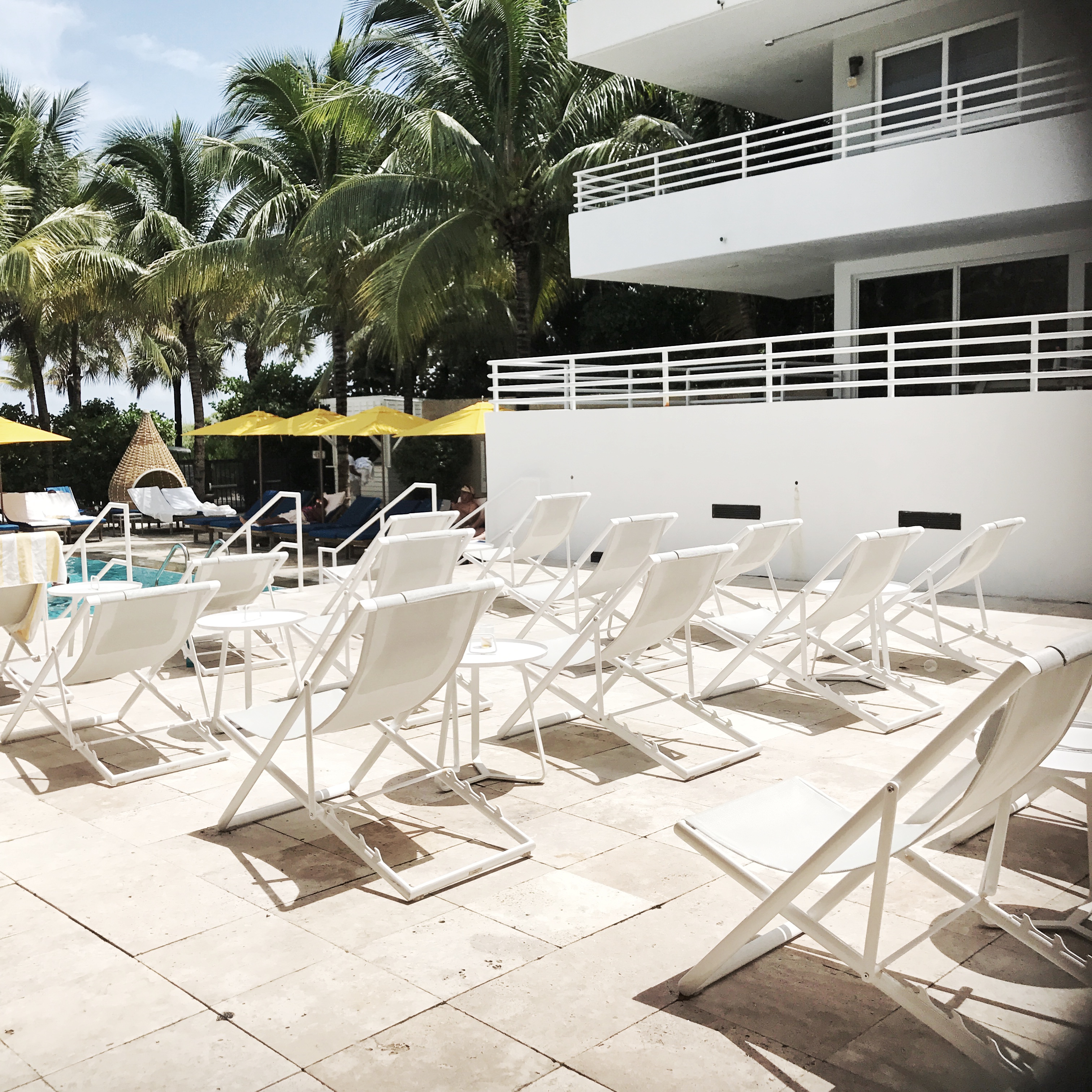 Miami The Royal Palm Hotel 