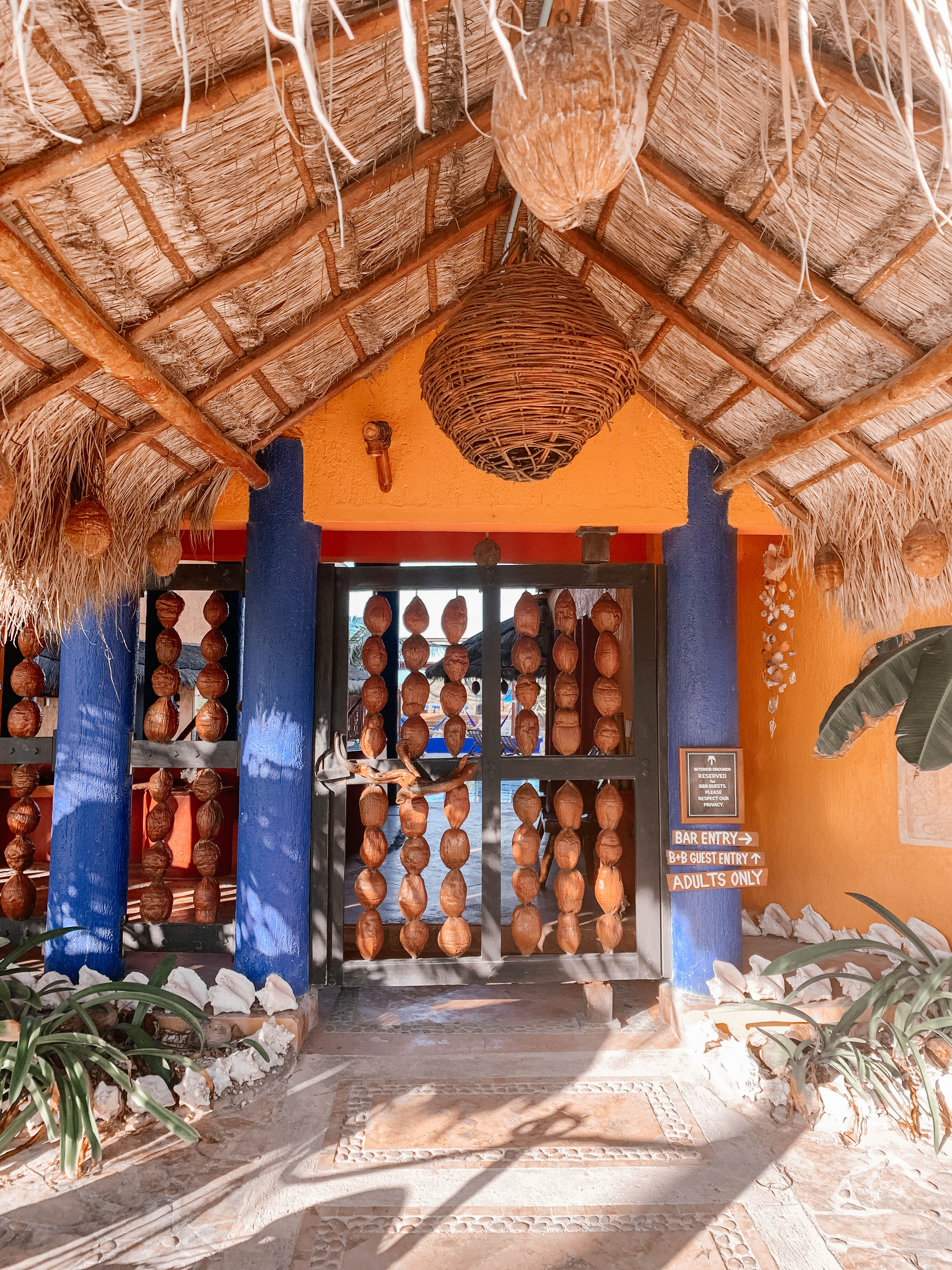 facebar isla mujeres facebar isla mujeres