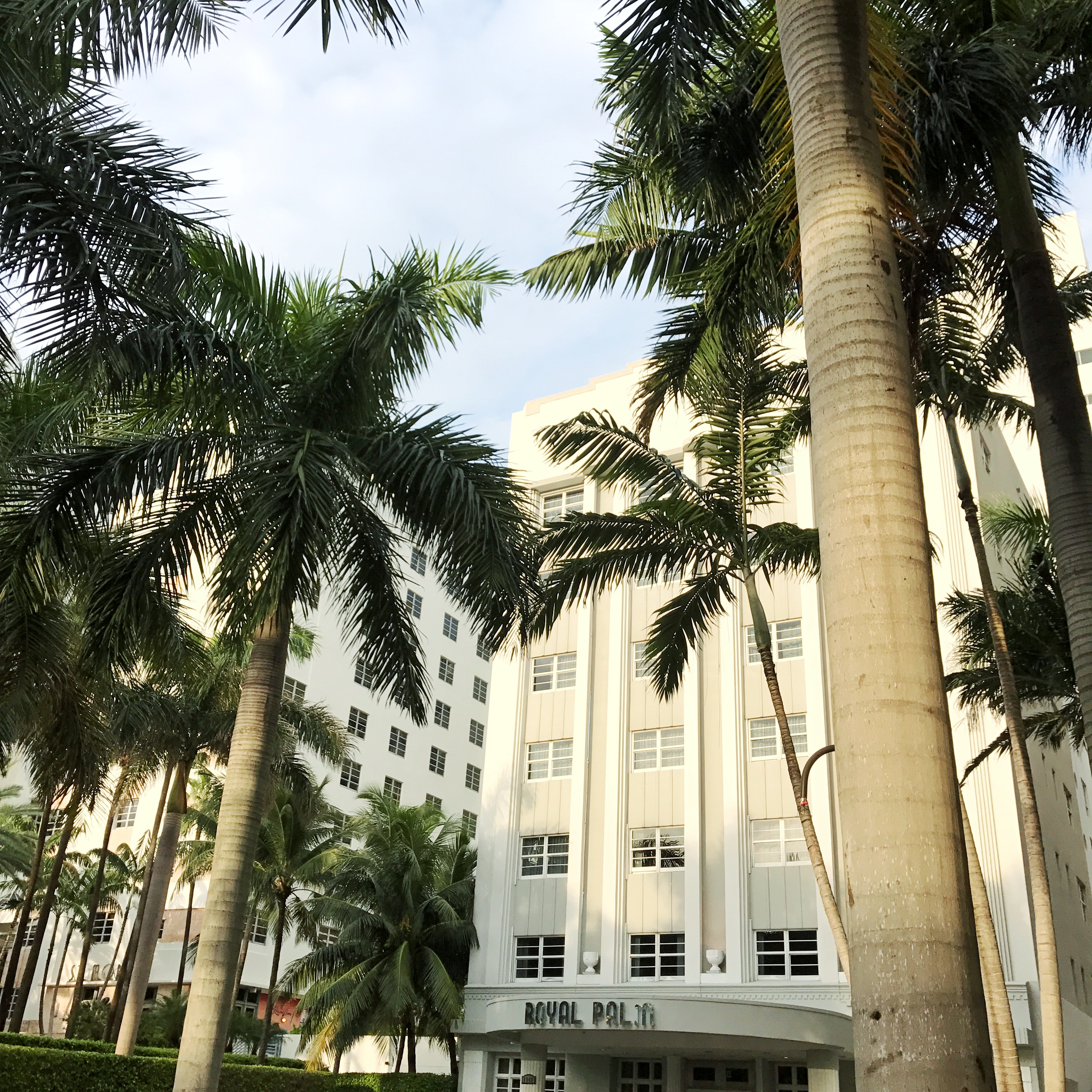 What I love about Miami | Fixed to Thrill