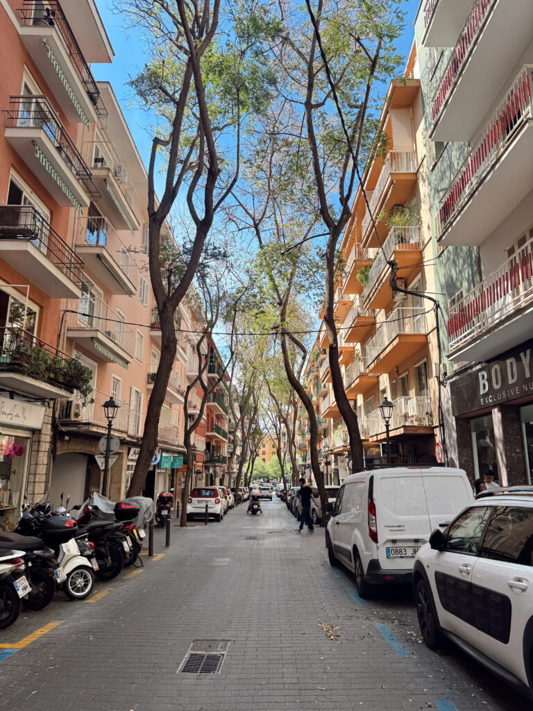Street view in Palma